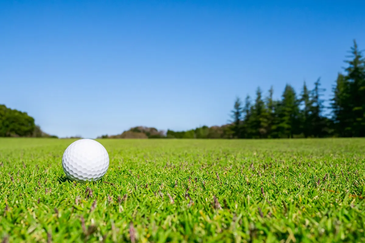 ゴルフ場の背景